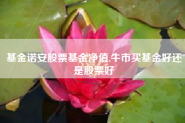 基金诺安股票基金净值,牛市买基金好还是股票好