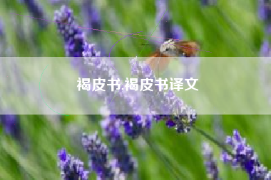 褐皮书,褐皮书译文