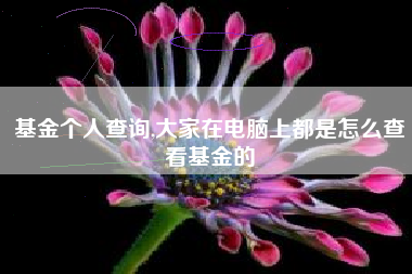 基金个人查询,大家在电脑上都是怎么查看基金的