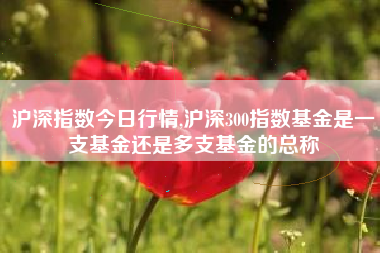 沪深指数今日行情,沪深300指数基金是一支基金还是多支基金的总称