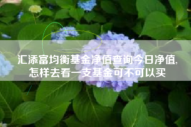 汇添富均衡基金净值查询今日净值,
怎样去看一支基金可不可以买