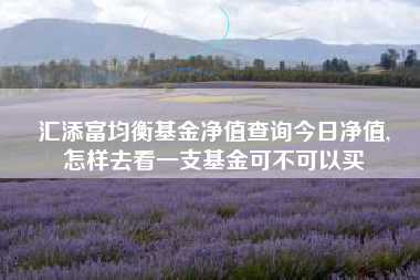 汇添富均衡基金净值查询今日净值,
怎样去看一支基金可不可以买