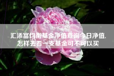 汇添富均衡基金净值查询今日净值,
怎样去看一支基金可不可以买