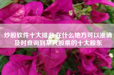 炒股软件十大排名,在什么地方可以准确及时查询到某只股票的十大股东