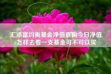 汇添富均衡基金净值查询今日净值,
怎样去看一支基金可不可以买