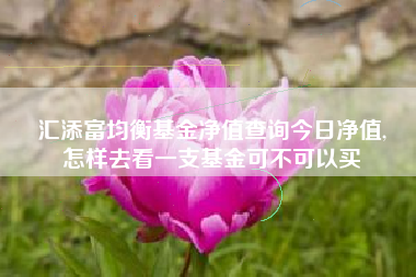 汇添富均衡基金净值查询今日净值,
怎样去看一支基金可不可以买