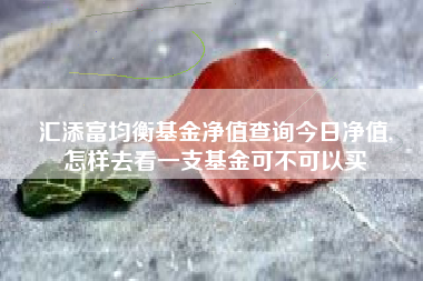 汇添富均衡基金净值查询今日净值,
怎样去看一支基金可不可以买