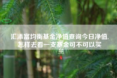 汇添富均衡基金净值查询今日净值,
怎样去看一支基金可不可以买