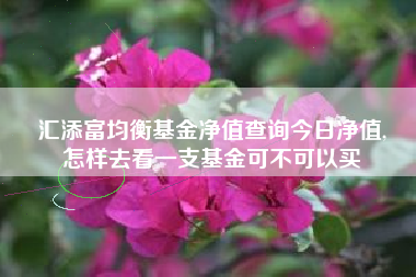 汇添富均衡基金净值查询今日净值,
怎样去看一支基金可不可以买