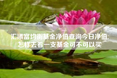 汇添富均衡基金净值查询今日净值,
怎样去看一支基金可不可以买