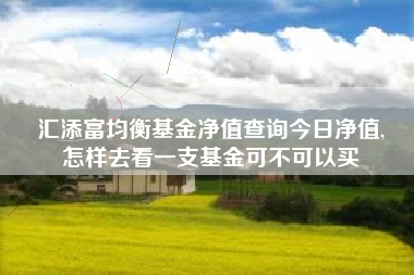 汇添富均衡基金净值查询今日净值,
怎样去看一支基金可不可以买