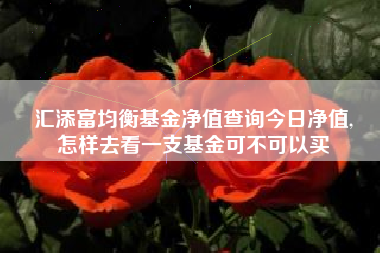 汇添富均衡基金净值查询今日净值,
怎样去看一支基金可不可以买