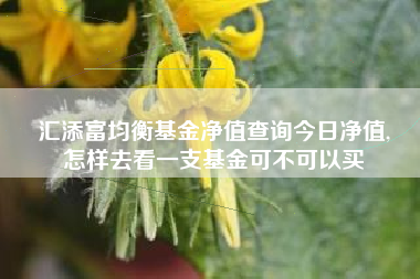 汇添富均衡基金净值查询今日净值,
怎样去看一支基金可不可以买