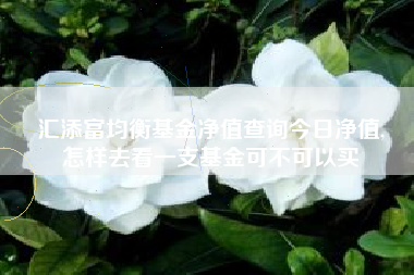 汇添富均衡基金净值查询今日净值,
怎样去看一支基金可不可以买