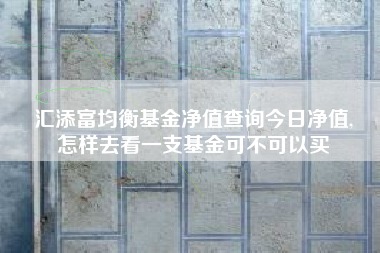 汇添富均衡基金净值查询今日净值,
怎样去看一支基金可不可以买