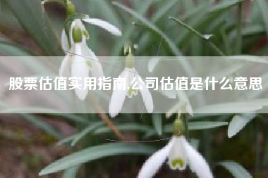 股票估值实用指南,公司估值是什么意思
