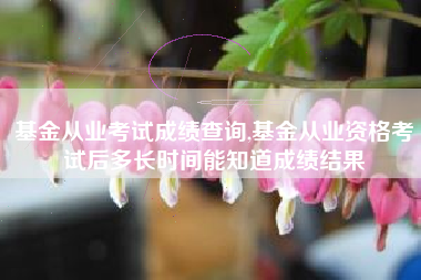 基金从业考试成绩查询,基金从业资格考试后多长时间能知道成绩结果