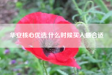 华安核心优选,什么时候买入最合适