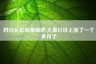 四川长虹股票股吧,大盘已经上涨了一个多月了