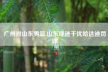 广州对山东男篮,山东球迷干扰哈达迪罚球