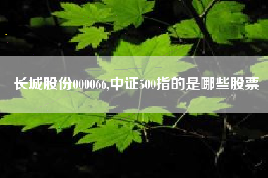 长城股份000066,中证500指的是哪些股票