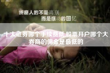 十大证券哪个手续费低,股票开户哪个大券商的佣金是最低的