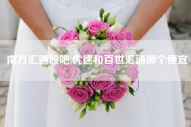 南方汇通股吧,优速和百世汇通哪个便宜