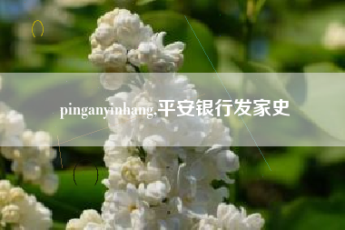 pinganyinhang,平安银行发家史