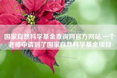 国家自然科学基金查询网官方网站,一个老师申请到了国家自然科学基金项目
