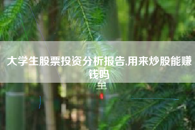 大学生股票投资分析报告,用来炒股能赚钱吗