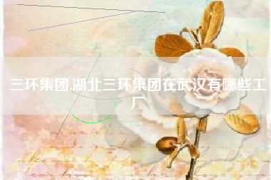 三环集团,湖北三环集团在武汉有哪些工厂