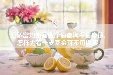汇添富均衡基金净值查询今日净值,
怎样去看一支基金可不可以买
