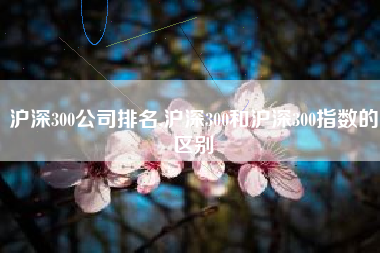 沪深300公司排名,沪深300和沪深300指数的区别