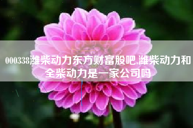 000338潍柴动力东方财富股吧,潍柴动力和全柴动力是一家公司吗