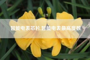 智能电表芯片,智能电表最高度数