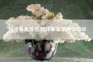 对冲基金排名,对冲基金学什么专业