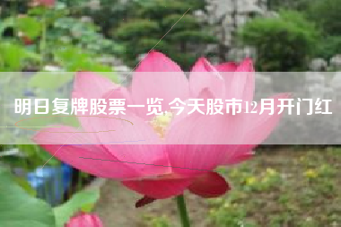 明日复牌股票一览,今天股市12月开门红