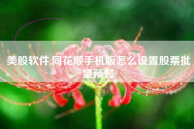 美股软件,同花顺手机版怎么设置股票批量预警