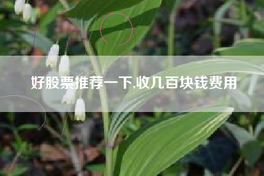 好股票推荐一下,收几百块钱费用