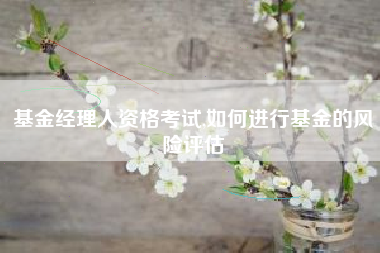 基金经理人资格考试,如何进行基金的风险评估