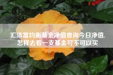 汇添富均衡基金净值查询今日净值,
怎样去看一支基金可不可以买