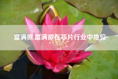 富满微,富满微在芯片行业中地位