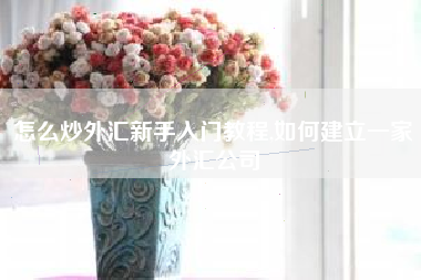 怎么炒外汇新手入门教程,如何建立一家外汇公司