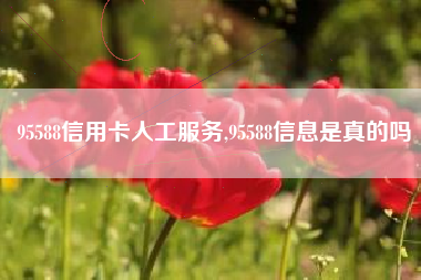 95588信用卡人工服务,95588信息是真的吗