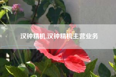 汉钟精机,汉钟精机主营业务