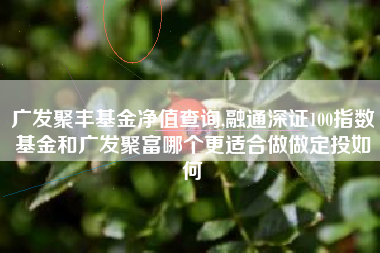 广发聚丰基金净值查询,融通深证100指数基金和广发聚富哪个更适合做做定投如何