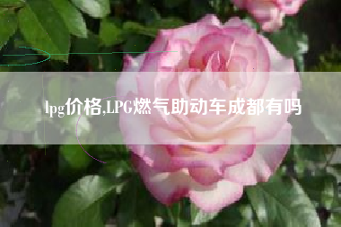lpg价格,LPG燃气助动车成都有吗