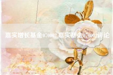 嘉实增长基金070002,嘉实基金070002评论
