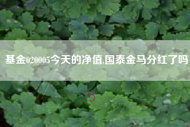 基金020005今天的净值,国泰金马分红了吗