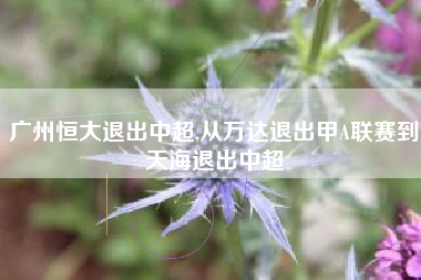 广州恒大退出中超,从万达退出甲A联赛到天海退出中超